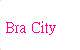 Bra City 時尚內衣店