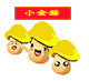 金菇之家
