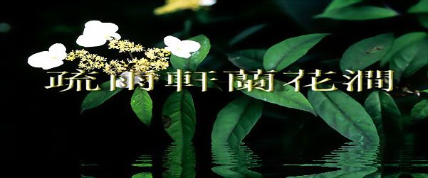 疏雨轩臻致园艺馆的LOGO