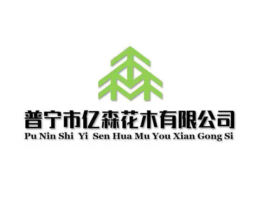 普宁市亿森花木有限公司
