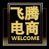 飞腾电商