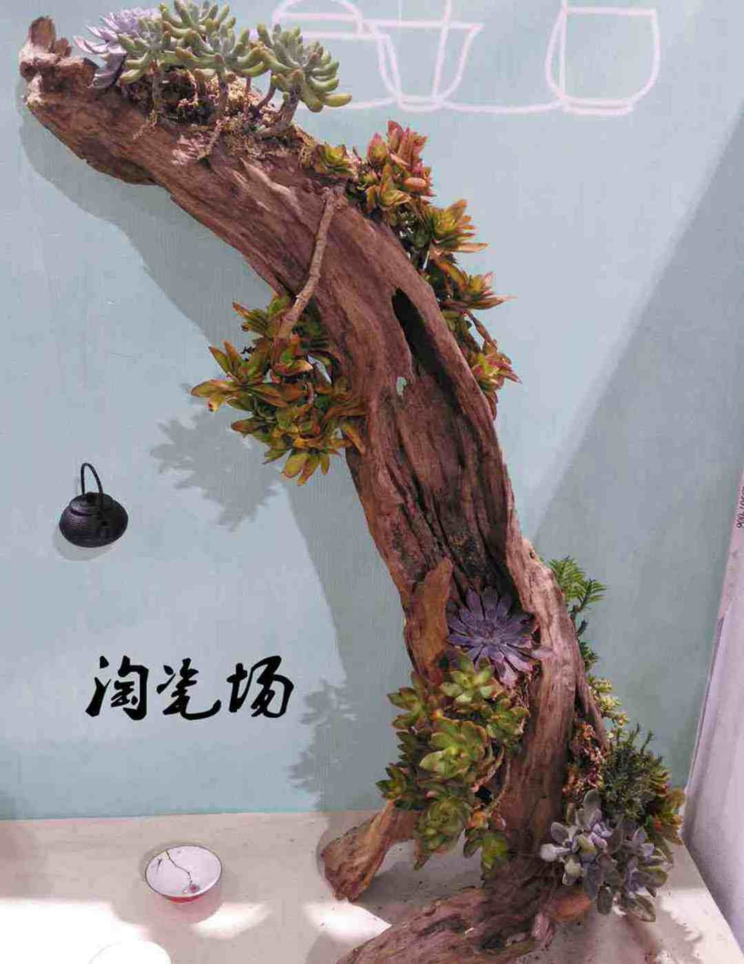 淘瓷场