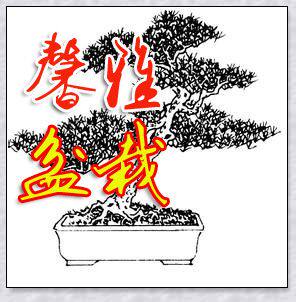 馨雅盆栽的LOGO