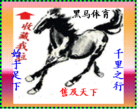 龙卷运动体育批发行