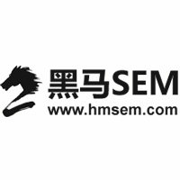 黑马SEM金融