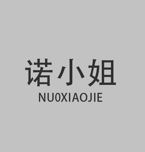 诺小姐的店