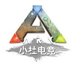 小杜电竞