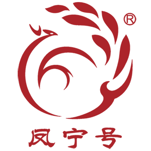 凤宁号旗舰店的LOGO