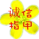 诚信古筝指甲的LOGO