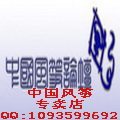 中国风筝店的LOGO