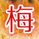 红梅军勾皮鞋店