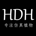 hdh旗舰店的LOGO
