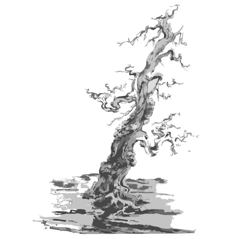 米叔盆景园艺场
