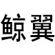 鲸翼环境