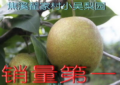小吴梨园焦溪蜜梨种植试验基地的LOGO