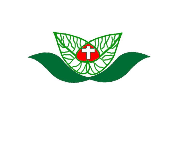 修研厂家运营店