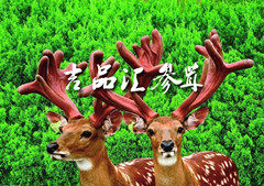 吉品汇参茸的LOGO