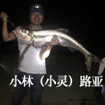 路亚小林(小灵)