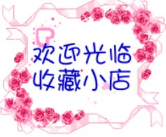 恐龙玩具精品店