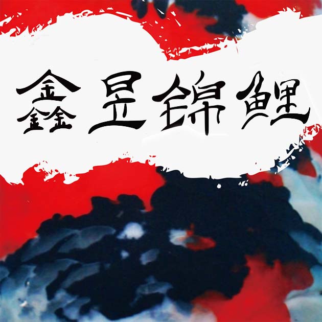 金鳞锦鲤观赏鱼