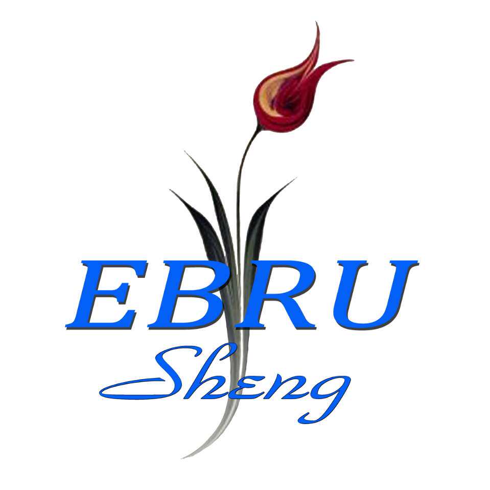 Ebru湿拓画