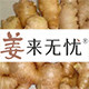 姜来无忧健康产品店的LOGO