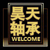 上海昊天精密轴承的LOGO