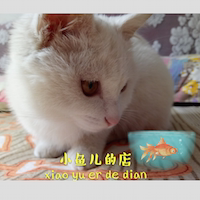 小鱼儿的新加坡代购店