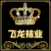 飞龙袜业的LOGO