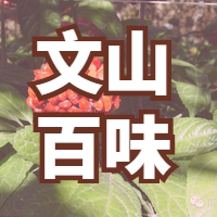 文山百味的LOGO