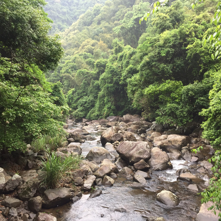 雄安五哥狂帮生活超市