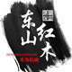 东山红木 一万平方超大展厅的LOGO