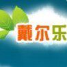 戴尔乐教玩具