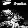 腾栩的LOGO