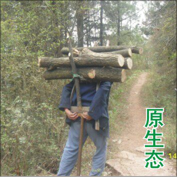 我爱通江特产店