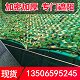 小迷彩伪装网