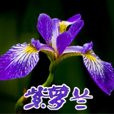 航拍无人机设备 全国总代的LOGO