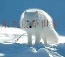 东兴皮草世家