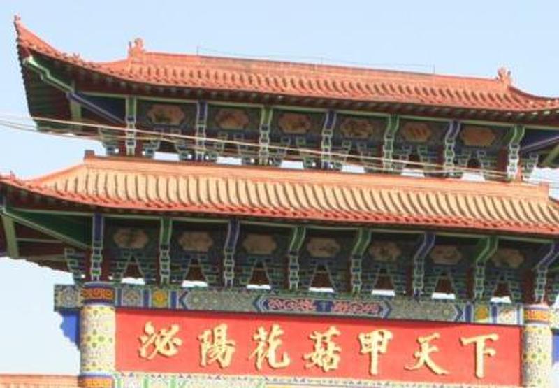 小兰农家土特产香菇干货