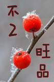 不2旺品