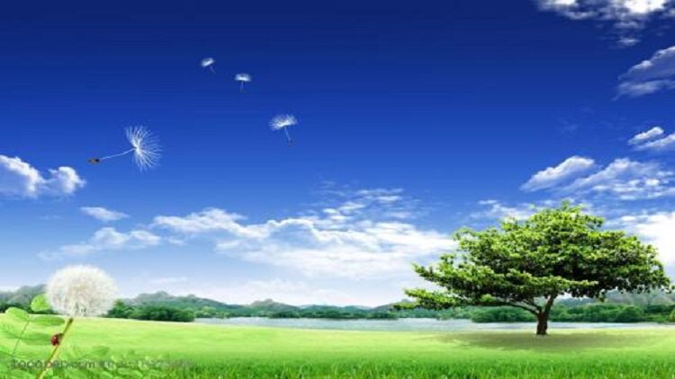 清洁护理空气净化