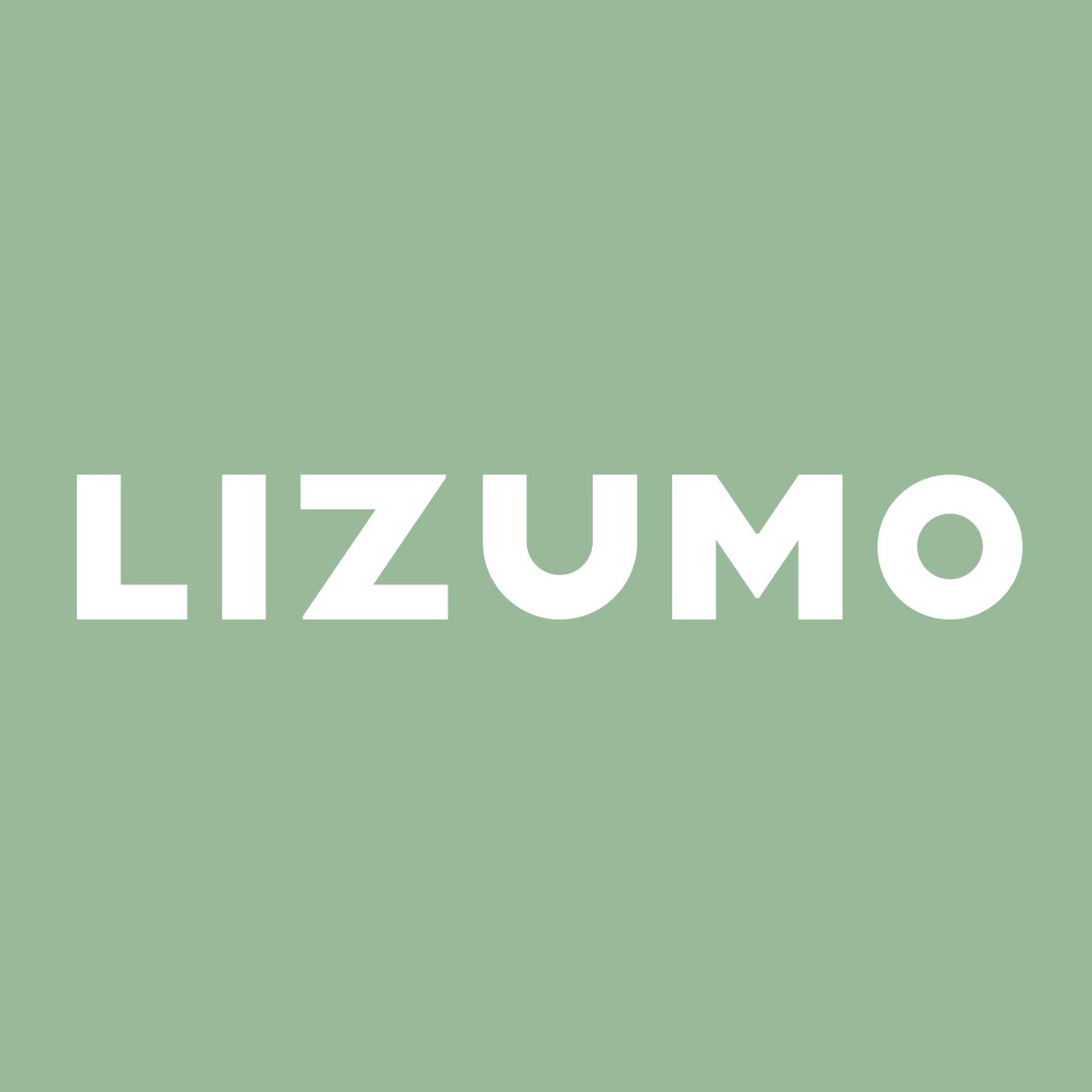 LIZUMO立之木