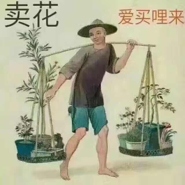 小胖子花卉