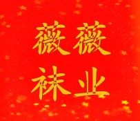 薇薇袜业  实物拍摄店  品牌裤袜