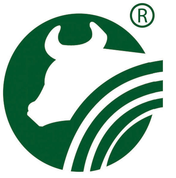 石台旅游旗舰店的LOGO