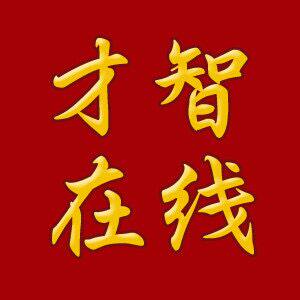 才智服装制版服装打版教程