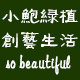 小鲍绿植