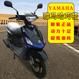 骑士永不退缩