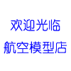 飞天模型的LOGO