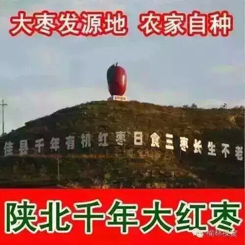 塞上天然农特产